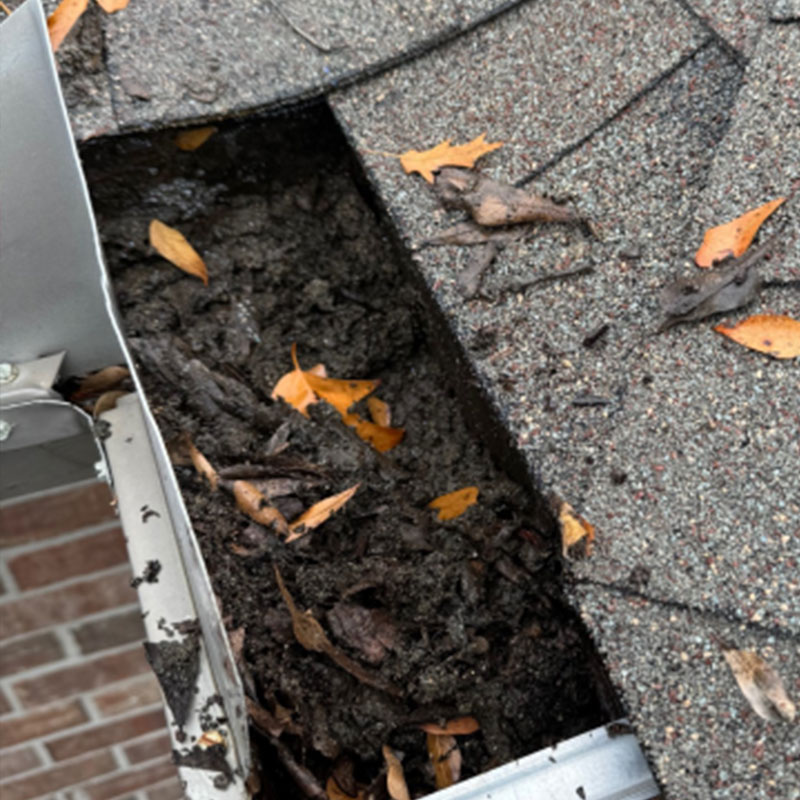 Gutter Cleaning Service Image