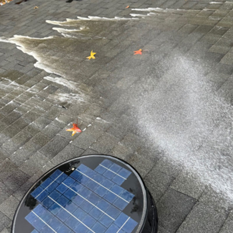 Roof Cleaning Service Image